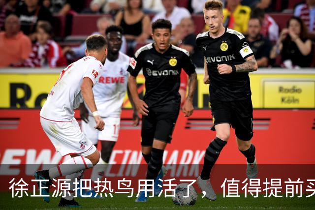 徐正源把热鸟用活了，值得提前买断 17岁新星有国脚潜力 瓦吉奇被弃